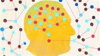 یادگیری زبان دوم؛ روشی مؤثر برای پیشگیری از زوال عقل