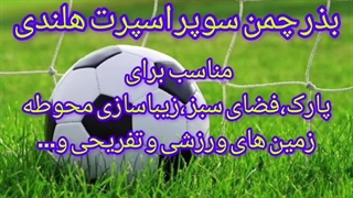 بذر چمن |  بذر چمن خارجی سوپر اسپرت هلندی 09190993466