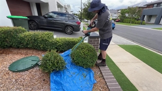 آموزش گام به گام نحوه استفاده از شمشاد زن بنزینی