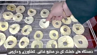 دستگاه میوه خشک کن مخصوص چیست؟ 09138900047