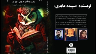 داستان «چه کسی پیام را کشت؟» نویسنده «سپیده عابدی»