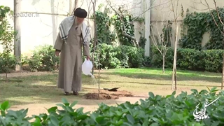 کاشت نهال میوه توسط رهبر معظم انقلاب در روز درختکاری - عمل صالح ۱۵ /اسفند/ ۱۴۰۳