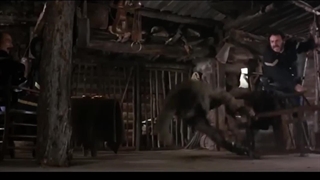 کات روی حرکت Cut on Action