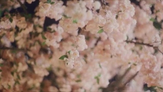 سریال چینی بهترین اتفاق  The Best Thing 2025 قسمت 19 با زیرنویس فارسی