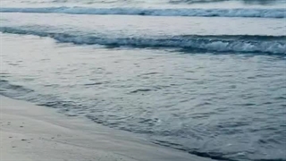 پارت چهارم رمان THE EDICTION(اعتیاد)