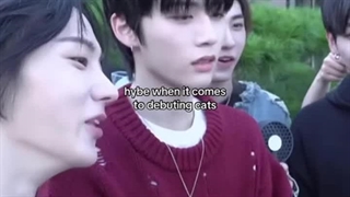 گوربه های هایب رو مشاهده میکنید: