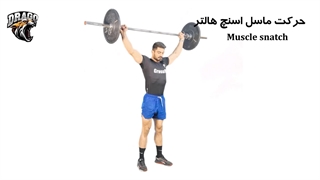 آموزش کامل حرکت ماسل اسنچ – قدرت و تکنیک خود را ارتقا دهید!