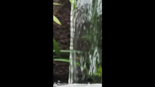 واتر کرتین یا پرده آب استخر در فروشگاه آبیکو