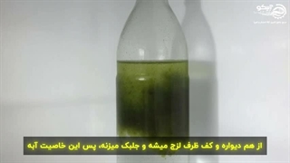 استخر های سرپوشیده هم امکان رشد جلبک را دارند؟