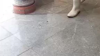 کفسابی در شمال ، لاهیجان ، رامسر