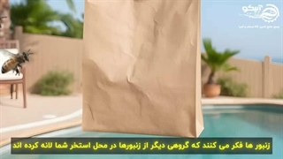 استخری بدون مزاحمت حشرات، با ترفندهای ساده آبیکو