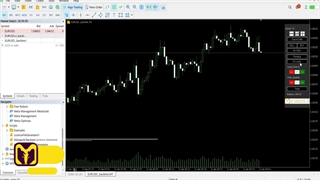 اوردر ریسک و کوانتیتی | متاگلد