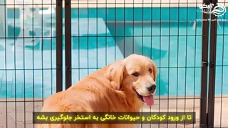 استخری ایمن برای کودکان، با رعایت نکات کلیدی آبیکو