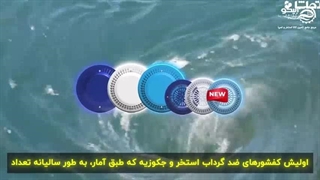 تجهیزات استخر و جکوزی مگاپول، کیفیت و اطمینان با آبیکو