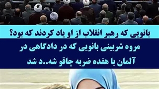 مروه شر‌بینی