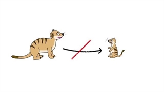 *Animals life*بدترین آیین های جفت گیری در پادشاهی حیوانات-قسمت بیست و نهم