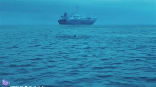 سریال کره ای : "وقتی زندگی بهت نارنگی میده"