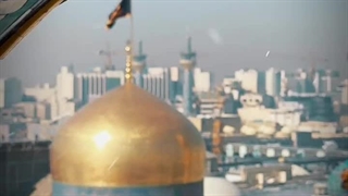 سیاه ماتم مولاست در سرای رضا(ع)