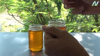 تشخیص عسل اصلی و تقلبی با آزمایش کشسانی عسل