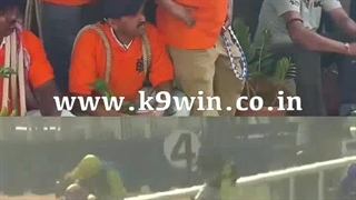 Best Horse Racing Betting Sites & Top Odds in India