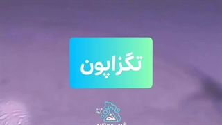 تگزاپون