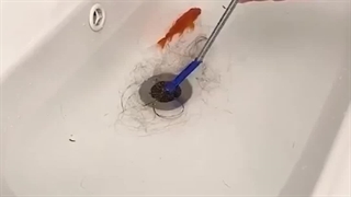 در آوردن طلا از چاه توالت با دوربین 09191404900☎️