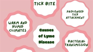 Lyme Disease: Causes, Symptoms & Prevention Tips!