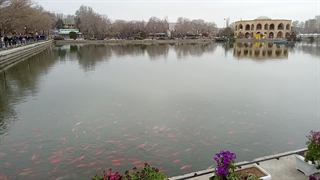 ماهی های ائل گولی تبریز2