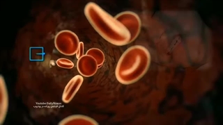 ۱۴ نشانه شبانه دیابت را بشناسید (نباید نادیده بگیرید) اگراین علائم را دیدید فورا به پزشک مراجعه کنید