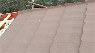 اجرای سقف شیروانی شیبدار مازندران چالوس نوشهر