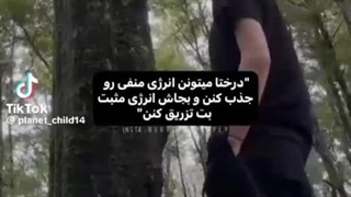 "میشه بریم جنگل؟...