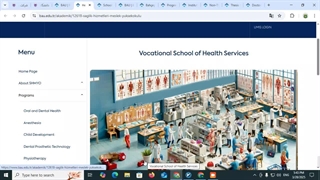 مقاطع تحصیلی دانشگاه باهچه شهیر استانبول| تحصیل در ترکیه | شرکت مهاجرتی شاهان