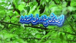 غزلی ناب و زیبا از ملک خاتون قرن هشتم هجری قمری