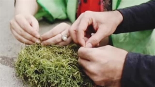 سیزده بدر | رازهای نگفته از جشن باستانی سیزده بدر