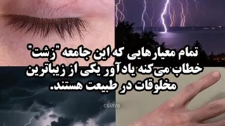 زیبایی: