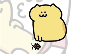 When you kiss your cat