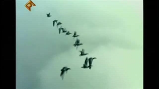 برنامه نسیمی از حقیقت - قسمت 2 - (زندگی پس از مرگ)