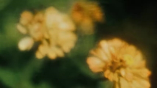 Slowwves - Amber (Music Video)
