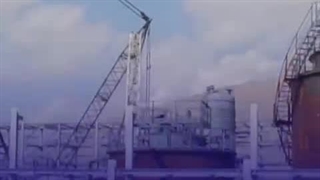 گام بلند «فارس» برای تکمیل زنجیره ارزش و تامین خوراک