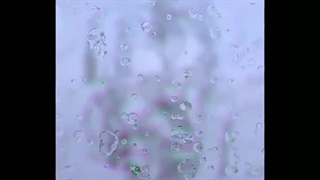 طراحی از صالح سام زاده