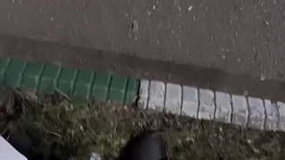 زبون ابراز علاقم: