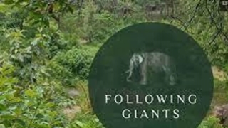 best Elephant Sanctuary Tour