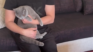 تعمیرات مبلمان جناب امیرمحمد زند،بازیگر محبوبمون،تماس:۰۹۱۲۷۰۱۶۶۷۰