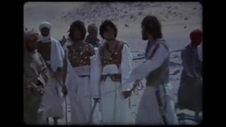 ۱۵ شوال سالروز شهادت حضرت حمزه سیدالشهداء(ع)