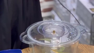 با این نکات طول عمر خردکن را افزایش بده