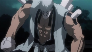 bleach 211