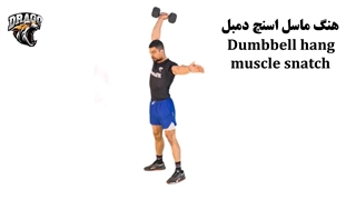 هنگ ماسل اسنچ دمبل [قدم به قدم] اجتناب از اشتباهات رایج