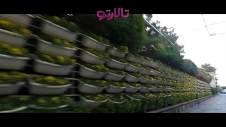 باغ تالار مروارید