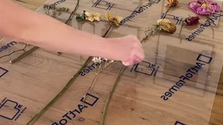 وای چه خوشگل شد ^^