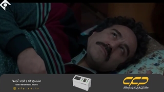 حمله خرس در پایتخت 7 (نقی معمولی)